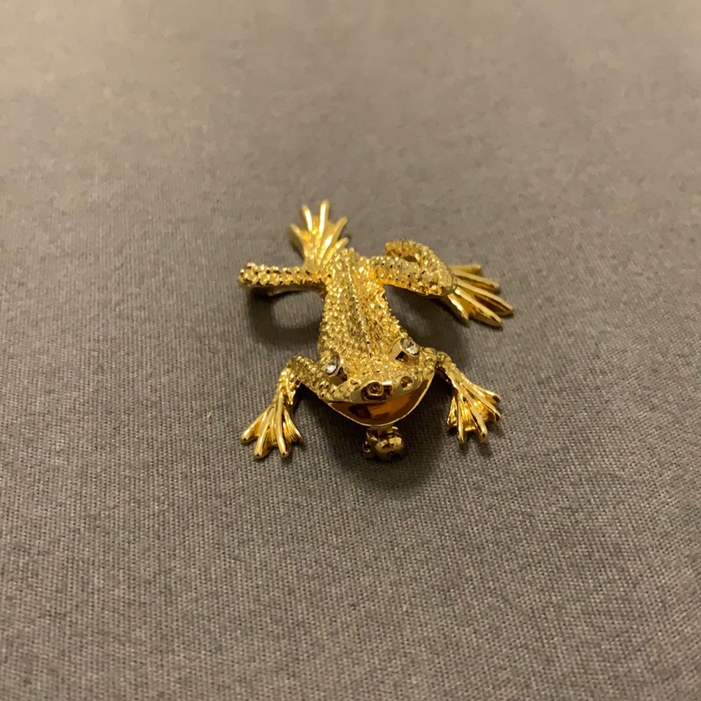 Gold frog pin